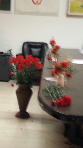 foto 1 (4)